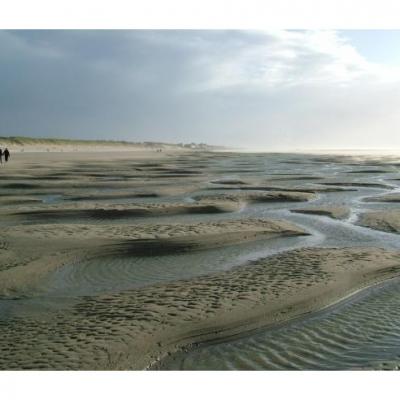 3868282-tide-has-receeded-fort-mahon-plage